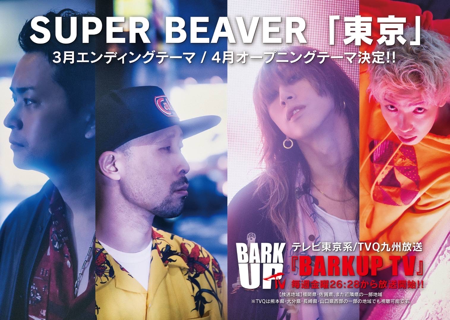 SUPER BEAVER